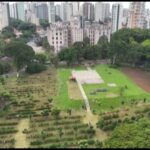 Instituto Biológico de SP realiza pesquisa contra pragas do café