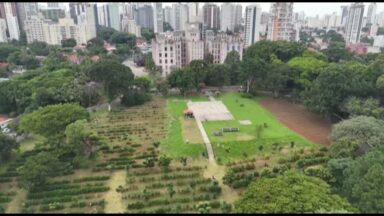 Instituto Biológico de SP realiza pesquisa contra pragas do café