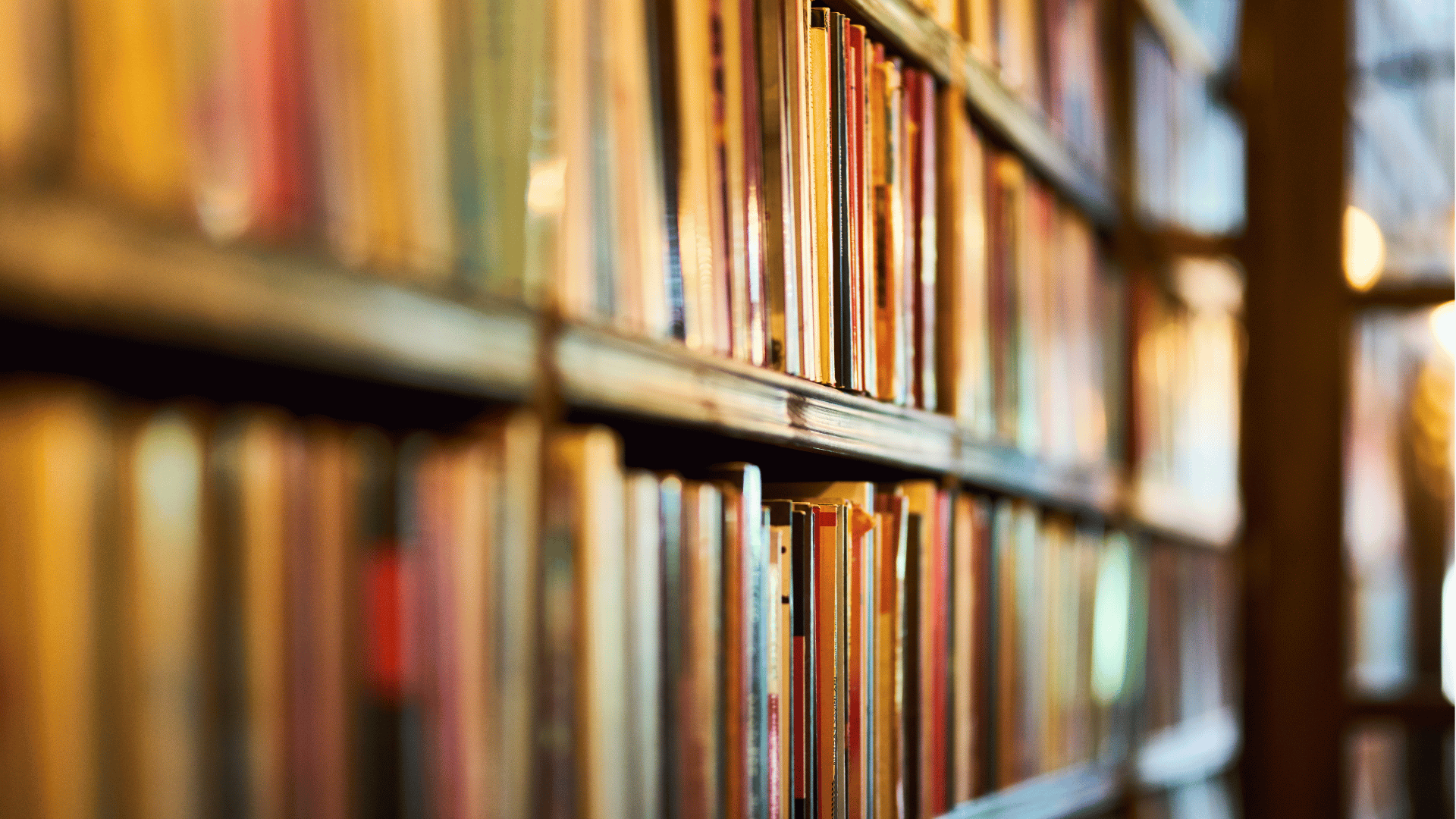 Livros organizados em instante da biblioteca de universidade.