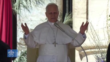 Papa afirma que a vida santa é o chamado de todo batizado