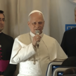 Evangelizar não por proselitismo, mas pela beleza da fé, indica Papa