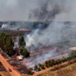 Dia Nacional da Mata Atlântica: Dados revelam redução no desmatamento