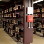 Visitas educativas são diferencial da Biblioteca Mário de Andrade