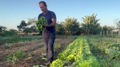 Conheça a agroecologia, destaque do Canção Nova Agro