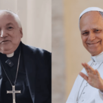 Cardeal Aveline: visita do Papa à França é incentivo para a Igreja no país
