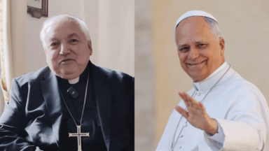 Cardeal Aveline: visita do Papa à França é incentivo para a Igreja no país