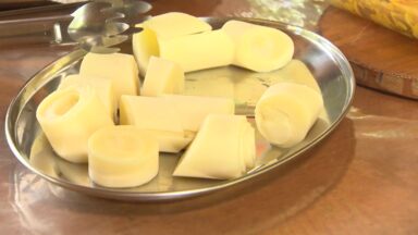 Produção de palmito pupunha é destaque no Canção Nova Agro