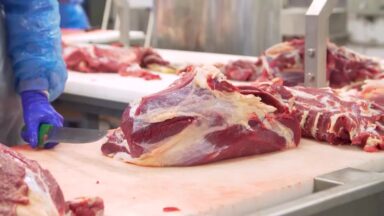 Governo tenta reverter proibição de carne brasileira na Europa