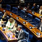 Movimentos Pró-Vida recebem homenagens no Congresso Nacional