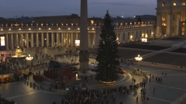 Crianças enfermas decorarão a árvore de Natal da Praça São Pedro