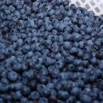 CN Agro mostra a produção do Mirtilo, conhecido como Blueberry