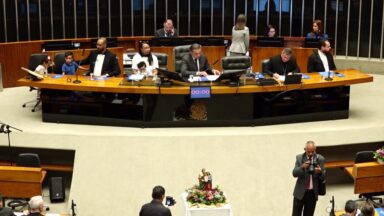 Sessão solene na Câmara destaca documentos papais sobre a família