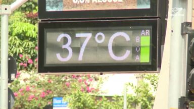 Primavera chega e mudanças na temperatura exigem cuidado