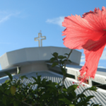 “Primavera é sinal do tempo novo que Deus faz nascer”, diz missionária