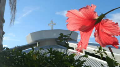 “Primavera é sinal do tempo novo que Deus faz nascer”, diz missionária