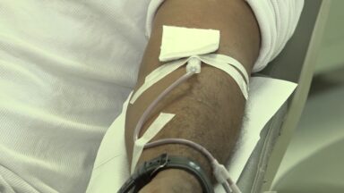 Doação de sangue: conheça as verdades e os mitos sobre essa iniciativa
