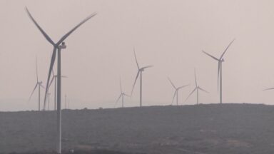 Energia eólica na Paraíba aumenta compromisso com futuro sustentável