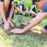 Arquidiocese de BH anima estudantes a preservar os recursos naturais
