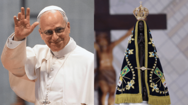 Papa aos brasileiros: que Nossa Senhora Aparecida vos proteja