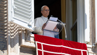 Papa no Angelus: São Francisco nos mostra como construir a paz