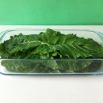 A boa alimentação contra o câncer