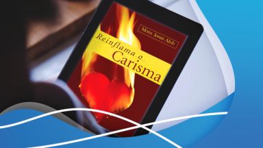 Livro Reinflama o Carisma