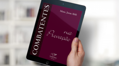 Livro Combatentes na provação
