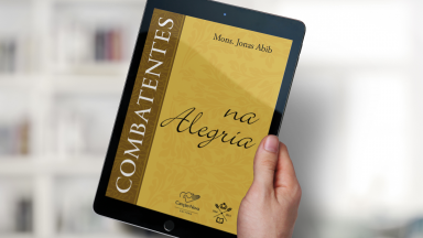 Livro Combatentes na Alegria