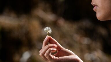 A sensibilidade e a sexualidade do músico católico