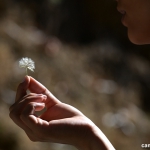 Trabalhando a sensibilidade e a sexualidade