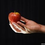 Por que temos de sofrer as consequências do pecado de Adão e Eva?