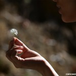 Sua sexualidade está muito ligada à sua sensibilidade