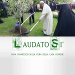 Publicada a encíclica do Papa sobre meio ambiente