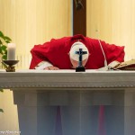 Verdadeiros cristãos servem gratuitamente, diz Papa