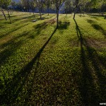 Sombras ou Luz, qual poder você irá alimentar?