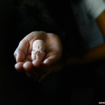 Papa Francisco olha com misericórdia para mulheres que praticaram aborto