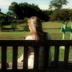 Saiba como lidar com a dependência emocional