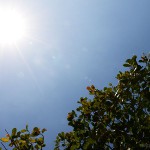 Por que lutar pelo céu?