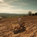 Assista: Papa convida a rezar por pequenos agricultores