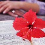 Dez dicas para viver bem o noivado