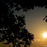 Reflita sobre a beleza da criação e o plano de salvação do Senhor