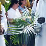 A importância do Domingo de Ramos