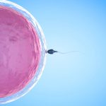 O que fazer com os embriões que sobram após a fertilização in vitro?