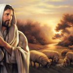 Pastor de um único rebanho