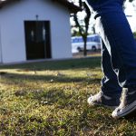 É necessário escolher Deus e não Suas obras