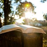 A riqueza da leitura meditada e orante da Palavra de Deus