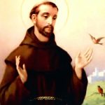 Reze e medite a novena a São Francisco de Assis