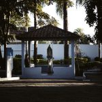 Receba a visita da nossa Mãe Maria na sua vida diariamente