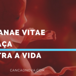 Assista