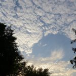 Ascenção do Senhor aos Céus